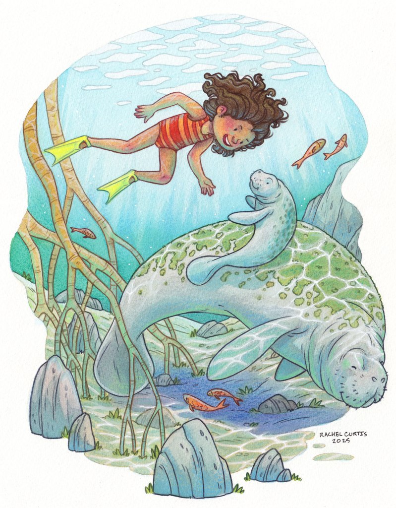 a  young girl in flippers greets a baby manatee and his mother.